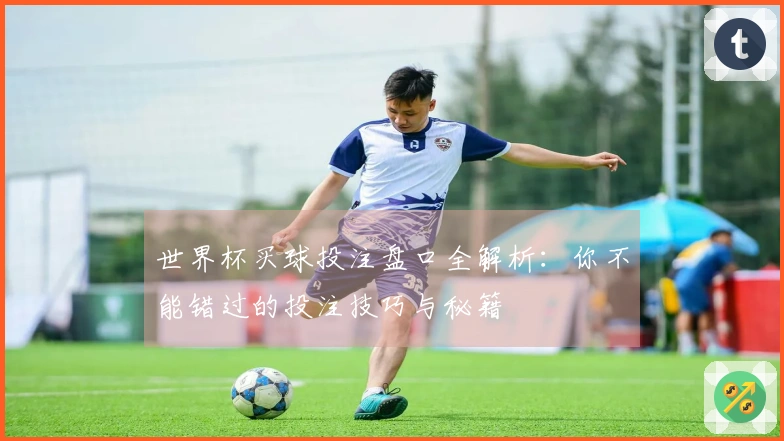 世界杯买球投注盘口全解析：你不能错过的投注技巧与秘籍