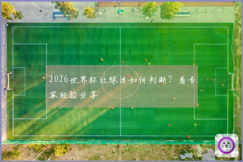 2026世界杯让球该如何判断？看专家经验分享