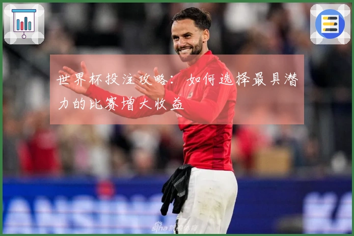 世界杯投注攻略：如何选择最具潜力的比赛增大收益
