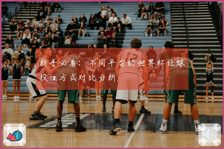 新手必看：不同平台的世界杯让球投注方式对比分析