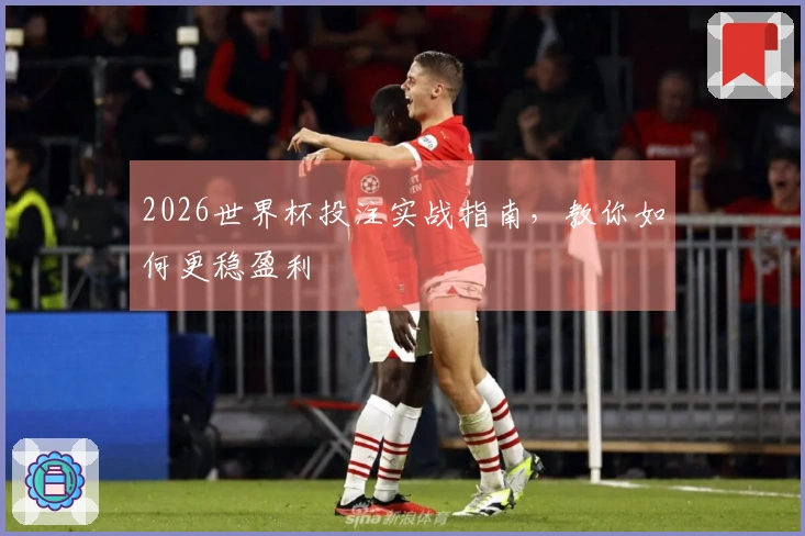 2026世界杯投注实战指南，教你如何更稳盈利