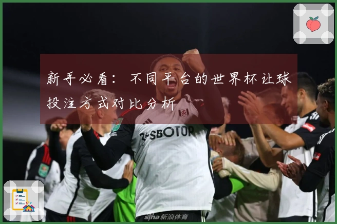 新手必看：不同平台的世界杯让球投注方式对比分析