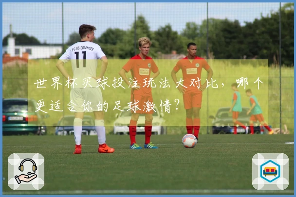 世界杯买球投注玩法大对比，哪个更适合你的足球激情？