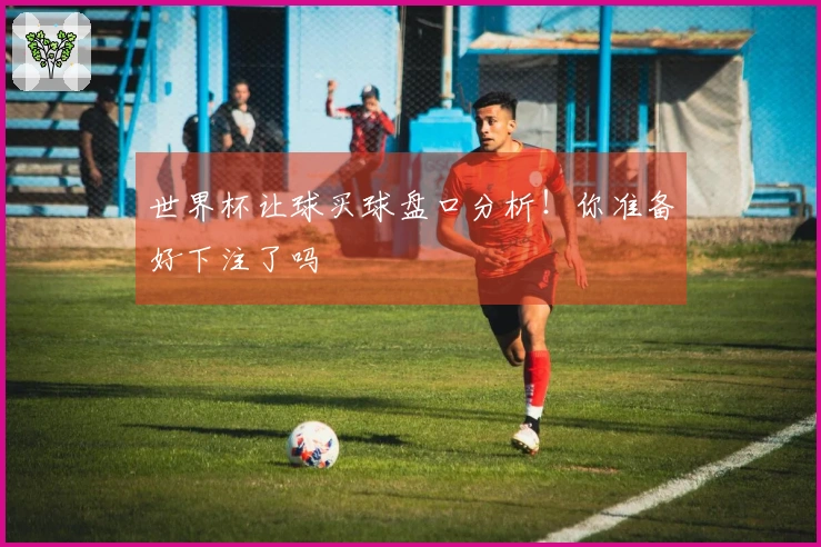 世界杯让球买球盘口分析！你准备好下注了吗